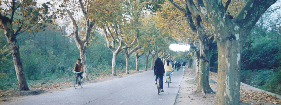 写真ー１　杭州の西湖付近（1991年11月5日）