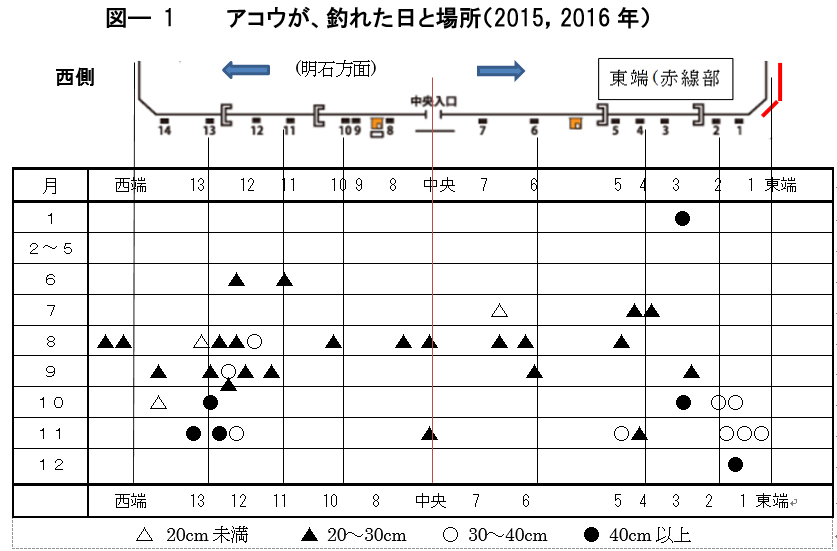 図ー１　アコウが釣れた日と場所（2015、2016年）
