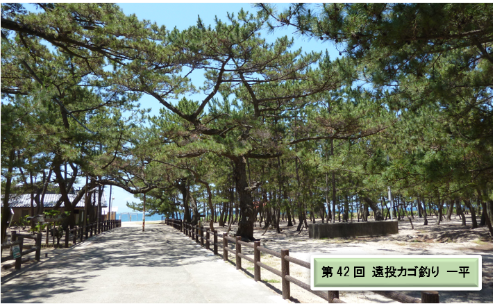写真ー１　淡路島、慶野松原